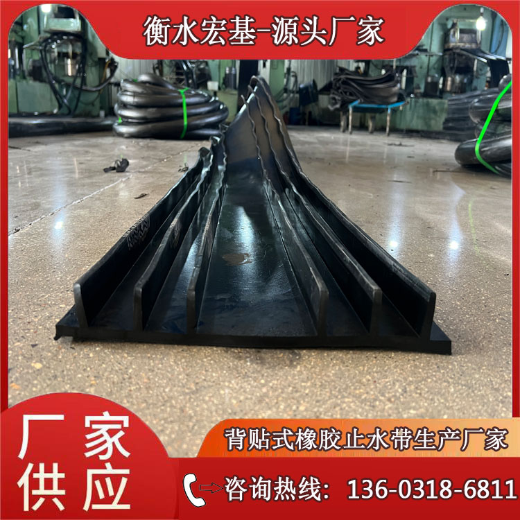 ����ʽ��ֹˮ������A�������2026-06-01.jpg